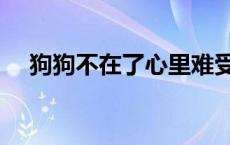 狗狗不在了心里难受怎么办 狗狗不在了 