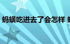 蚂蟥吃进去了会怎样 蚂蟥吃到肚子里会怎样 