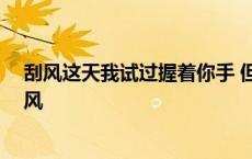 刮风这天我试过握着你手 但偏偏雨渐渐大到我看你不见 刮风 