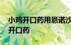 小鸡开口药用恩诺沙星溶液搭配什么好 小鸡开口药 