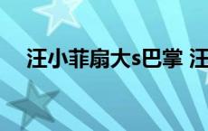 汪小菲扇大s巴掌 汪小菲婚礼扇大s耳光 