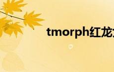 tmorph红龙女王 tmorph 