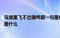 鸟笼里飞不出雄鹰前一句是什么 鸟笼里飞不出雄鹰的上一句是什么 