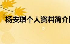 杨安琪个人资料简介图片 杨安琪个人资料 