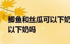 鲫鱼和丝瓜可以下奶效果快吗 鲫鱼和丝瓜可以下奶吗 