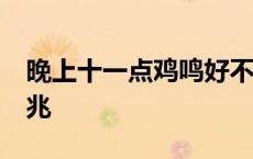 晚上十一点鸡鸣好不好 晚上11点鸡叫什么预兆 