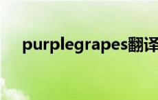 purplegrapes翻译中文 purplegrape 