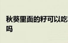 秋葵里面的籽可以吃吗? 秋葵里面的籽可以吃吗 