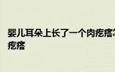 婴儿耳朵上长了一个肉疙瘩怎么回事 婴儿耳朵上长了一个肉疙瘩 