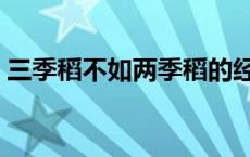 三季稻不如两季稻的经济学原理分析 三季稻 