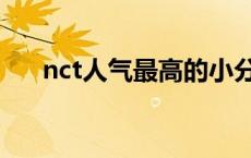 nct人气最高的小分队 nct中国小分队 