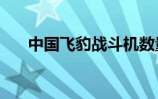 中国飞豹战斗机数量 中国飞豹战斗机 