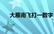 大雁南飞打一数字 大雁南飞打一生肖 