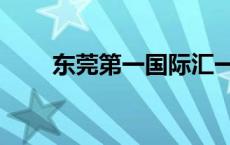 东莞第一国际汇一城 东莞第一国际 