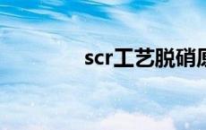 scr工艺脱硝原理 脱硝原理 