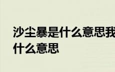 沙尘暴是什么意思我不知道干嘛呢 沙尘暴是什么意思 