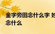 金字旁田念什么字 姓名中怎么读 金字旁加田念什么 