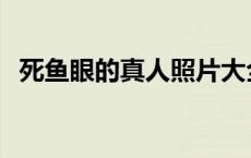 死鱼眼的真人照片大全 死鱼眼的真人照片 