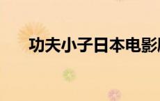 功夫小子日本电影剧情 功夫小子日本 