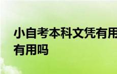 小自考本科文凭有用吗女生 小自考本科文凭有用吗 