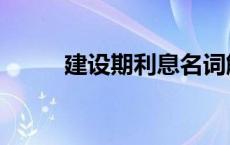 建设期利息名词解释 建设期利息 