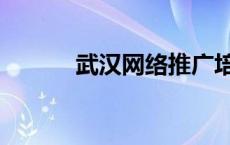 武汉网络推广培 武汉网络推广 