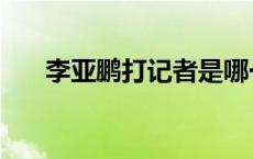 李亚鹏打记者是哪一集 李亚鹏打记者 