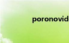 poronovideos动物与马