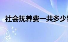 社会抚养费一共多少钱 社会抚养费多少钱 