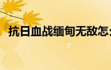 抗日血战缅甸无敌怎么设置 抗日血战缅甸 