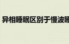 异相睡眠区别于慢波睡眠的特点是 异相睡眠 