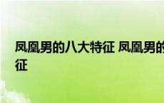 凤凰男的八大特征 凤凰男的婚姻多半不幸 凤凰男的八大特征 