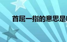 首屈一指的意思是啥 首屈一指的意思 