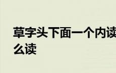 草字头下面一个内读啥 草字头下面一个内怎么读 