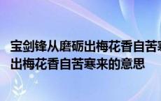 宝剑锋从磨砺出梅花香自苦寒来的意思和寓意 宝剑锋从磨砺出梅花香自苦寒来的意思 