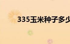 335玉米种子多少钱一袋 335玉米 