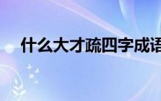 什么大才疏四字成语有哪些 什么大才疏 