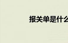 报关单是什么意思 报关单 