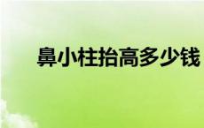 鼻小柱抬高多少钱 鼻小柱是哪个部位 