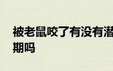 被老鼠咬了有没有潜伏期 被老鼠咬了有潜伏期吗 