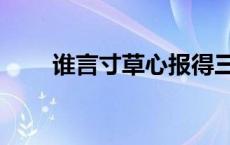 谁言寸草心报得三春晖 谁言寸草心 