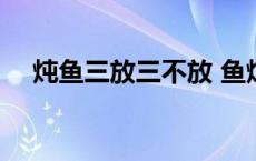 炖鱼三放三不放 鱼炖豆腐怎么炖才好吃 