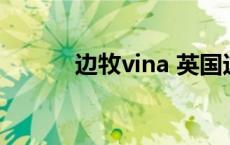 边牧vina 英国边牧有纯肖的吗 