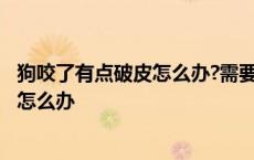 狗咬了有点破皮怎么办?需要打狂犬疫苗吗? 狗咬了有点破皮怎么办 