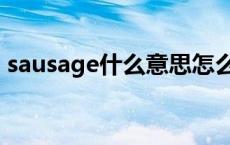 sausage什么意思怎么读 sausage什么意思 