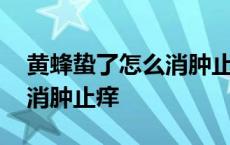 黄蜂蛰了怎么消肿止痒的方法 黄蜂蛰了怎么消肿止痒 