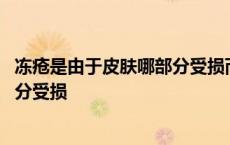 冻疮是由于皮肤哪部分受损而引起的 冻疮是由于皮肤哪一部分受损 