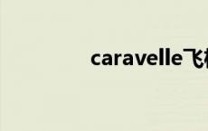 caravelle飞机 caravelle 