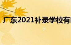 广东2021补录学校有哪些 广东3b补录学校 