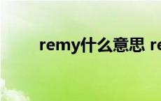 remy什么意思 remnant什么意思 